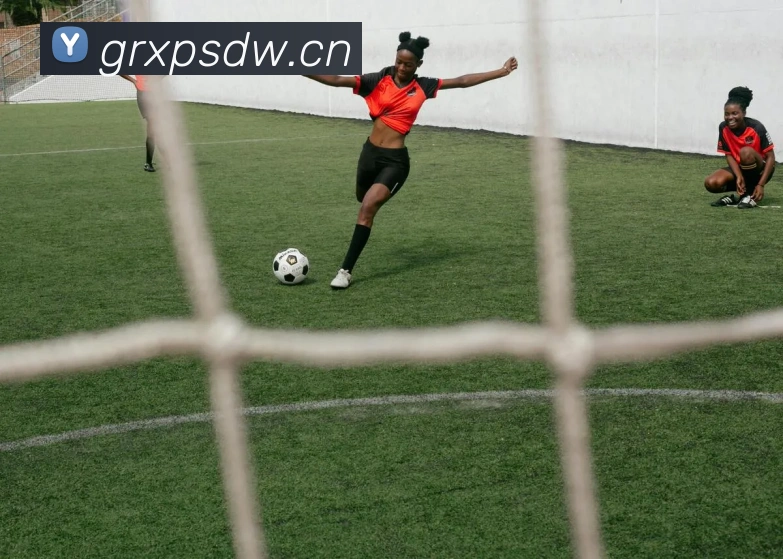 华体育会登录网官网服务体系